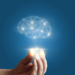 Mindfulness Training Courses
